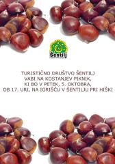 KOSTANJEV PIKNIK V ŠENTILJU okt 2018